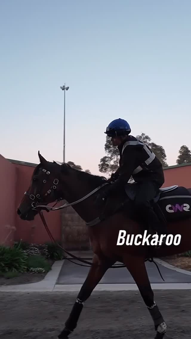 Instagram post by @worldhorseracing for Mercedes-Benz. Caption reads: First time sitting on Buckaroo ahead of this....