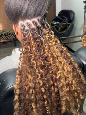 TikTok post by @progressive.roots for Sterly Hair Shop. Caption reads: This color combo is everything 😍✨ The blend on....