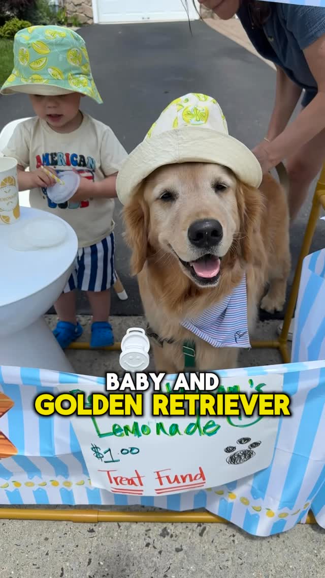 Instagram post by @hudsonbegood for Azuna. Caption reads: [...] is full of love… and smells.
😅 Luckily,....