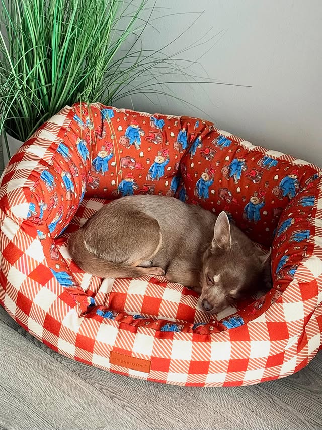 Instagram post by @thechihuahua_squad for Pawsome Paws Boutique. Caption reads: [...] 😍 with our Paddington Bed🧸 from....