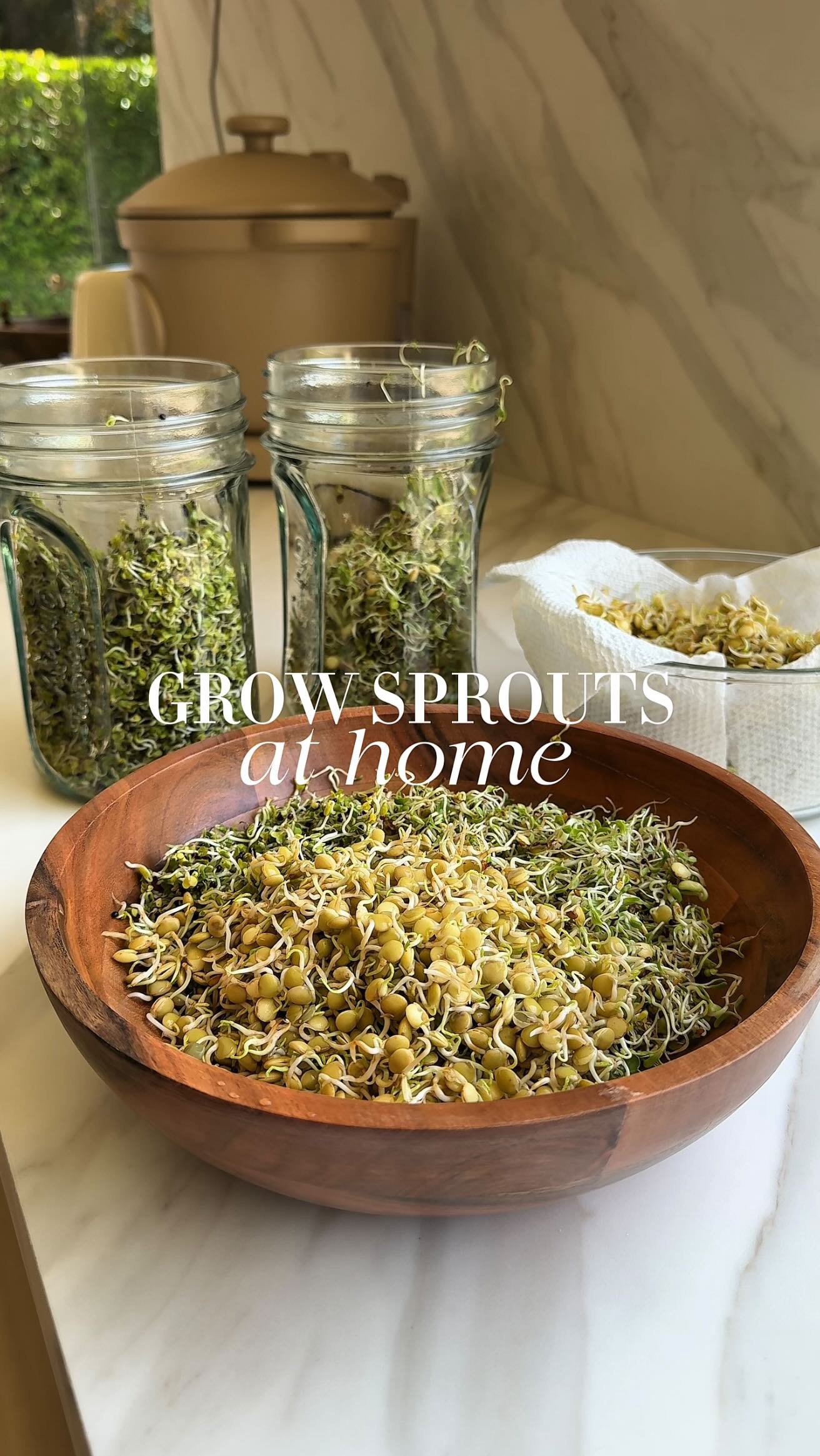 Instagram post by @healthygirlkitchen for The Sprouting Company. Caption reads: Did you know you can grow these at home?! Comment....