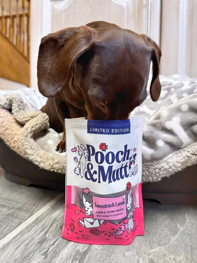 Instagram post by an influencer for Pooch and Mutt. Caption reads: [...] Lamb treats from @poochandmutt....