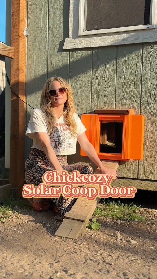 Instagram post by @lowkeyhomestead for Chickcozy. Caption reads: [...] “solar” for the link✨ This is the Chickcozy....