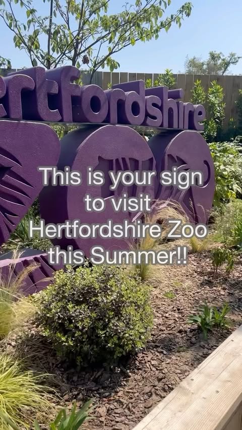 Instagram post by @gemma_mccorkell for Hertfordshire Zoo. Caption reads: AD We had the best day at @hertfordshirezoo....