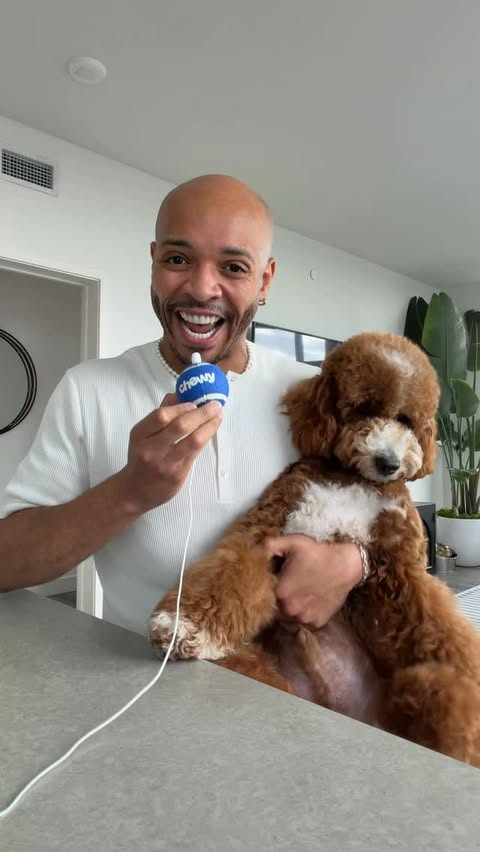 Instagram post by @thelavelleshow for Chewy. Caption reads: #Chewypartner Friend when I say @chewy got [...].