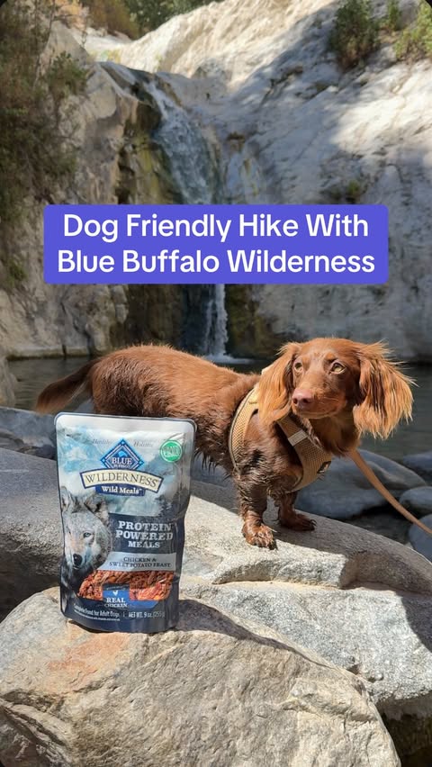 Instagram post by @drew_tillman for Blue Buffalo. Caption reads: This adventure is fueled by @bluebuffalo....