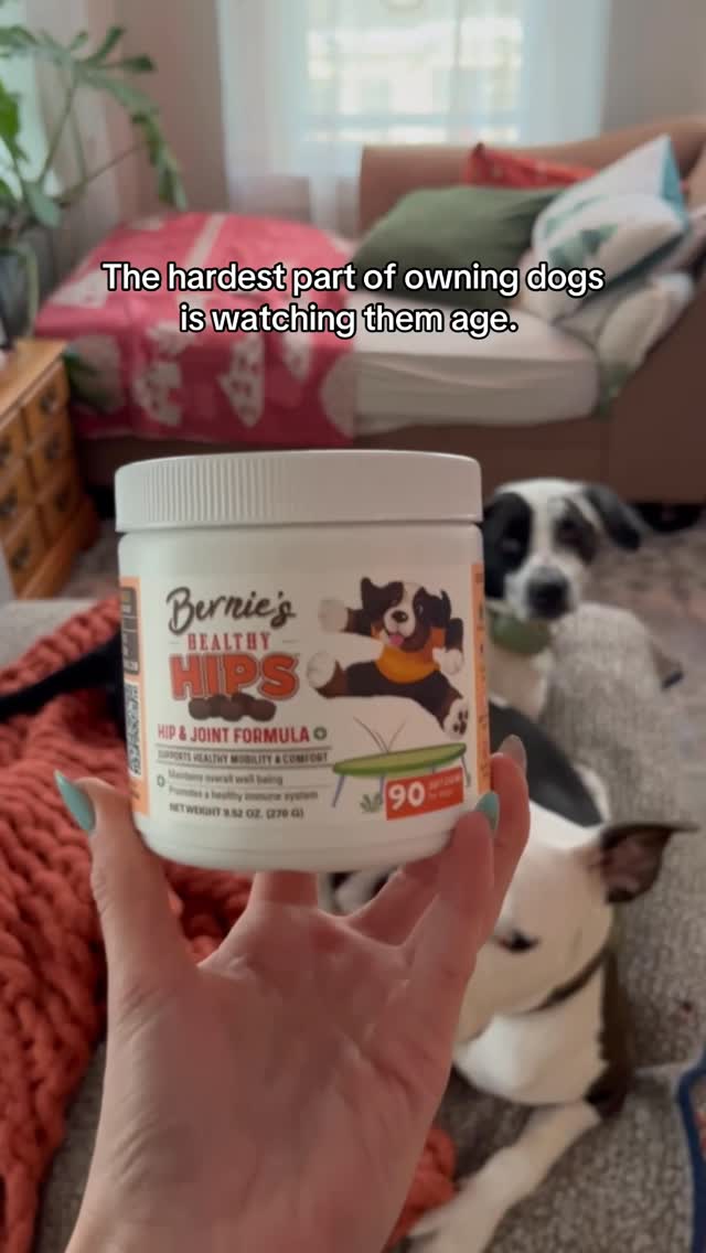 Instagram post by @ottieandcrew for Bernie's Best. Caption reads: @bernies.best sent us some pf their hip and joint....