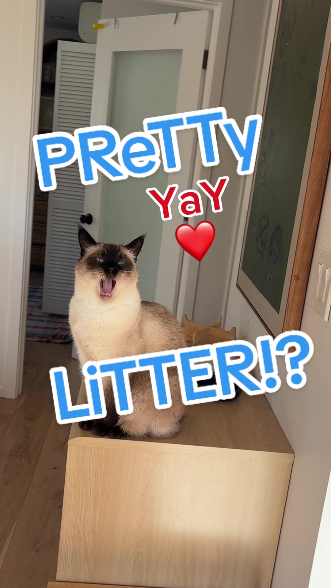 TikTok post by @mervthecat for PrettyLitter. Caption reads: WAT happens weN i try @PrettyLitter ? WAtCh who it....