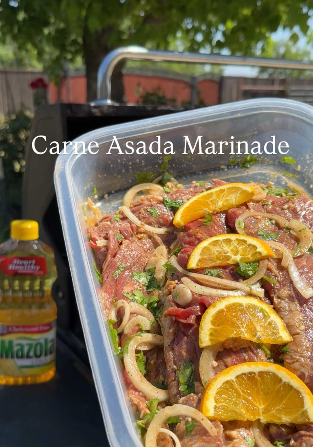 TikTok post by @ale.reeg for Mazola. Caption reads: ☀️ #ad Sunny days are for grilling!🔥So fire up....