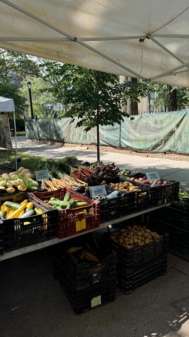 Instagram post by @theabbybible for Girlfriend Collective. Caption reads: Kinda living for the second and third top option??....