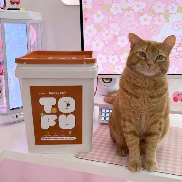 Instagram post by @mystiicmeep for Happy & Polly. Caption reads: Ollie and Tom are so excited to show you their new....