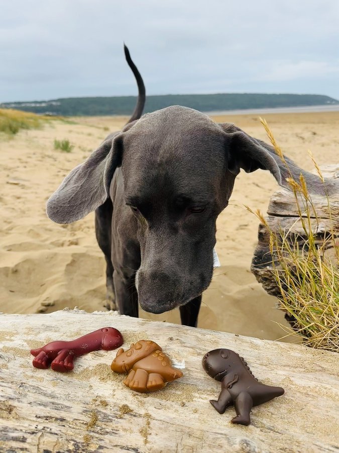 Instagram post by @weimaraner_blue_est2020 for Fur the Love of Toys. Caption reads: [...] see all the goodies you can get!....
