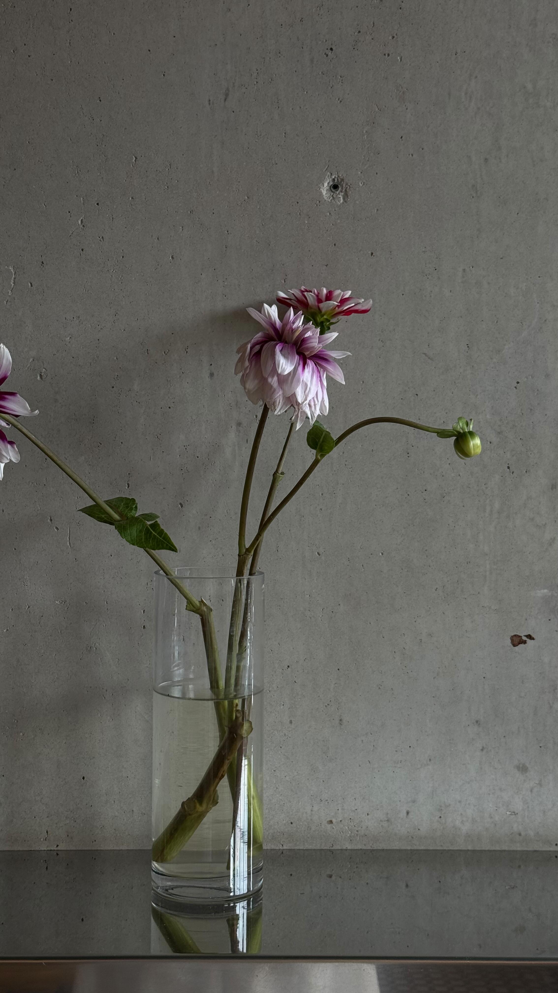 Instagram post by @rebeccaferrazwyatt for Munthe. Caption reads: One of my favourite things about London is that....