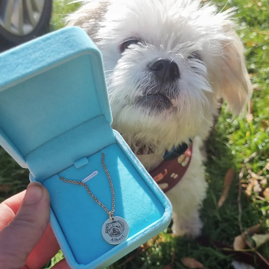 Instagram post by @albert.theshihtzu for Pupring. Caption reads: [...] gorgeous jewellery 💕 Thank you so much....