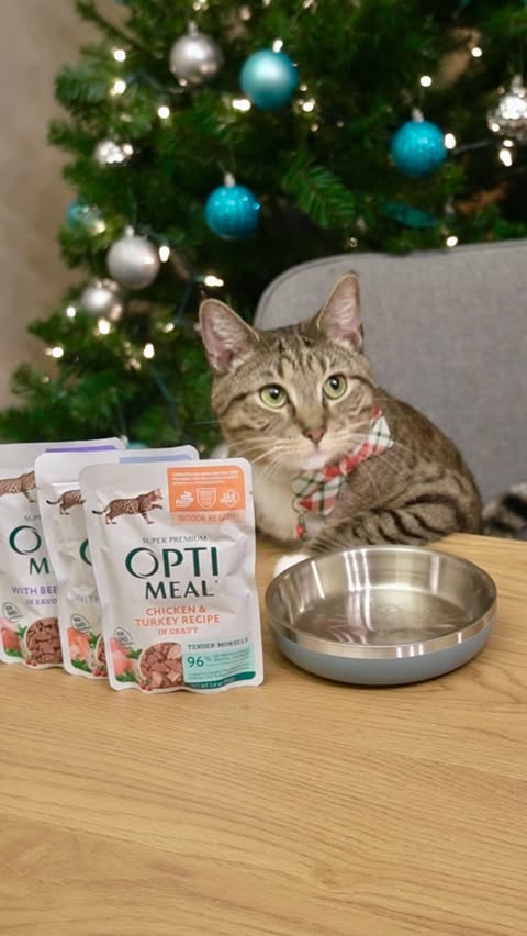 Instagram post by @meeloandmina for Optimeal. Caption reads: [...] hydrating and natural cat food -....