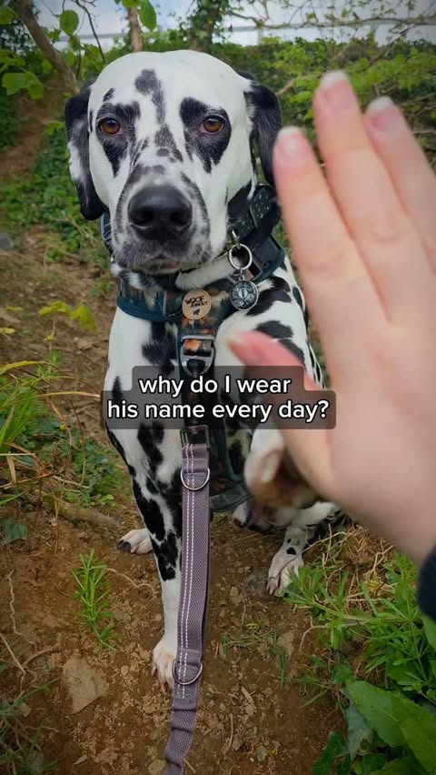 Instagram post by @spotted.in.nature for PupRing. Caption reads: [...] whole world 🤍 That’s why I love my Obi....