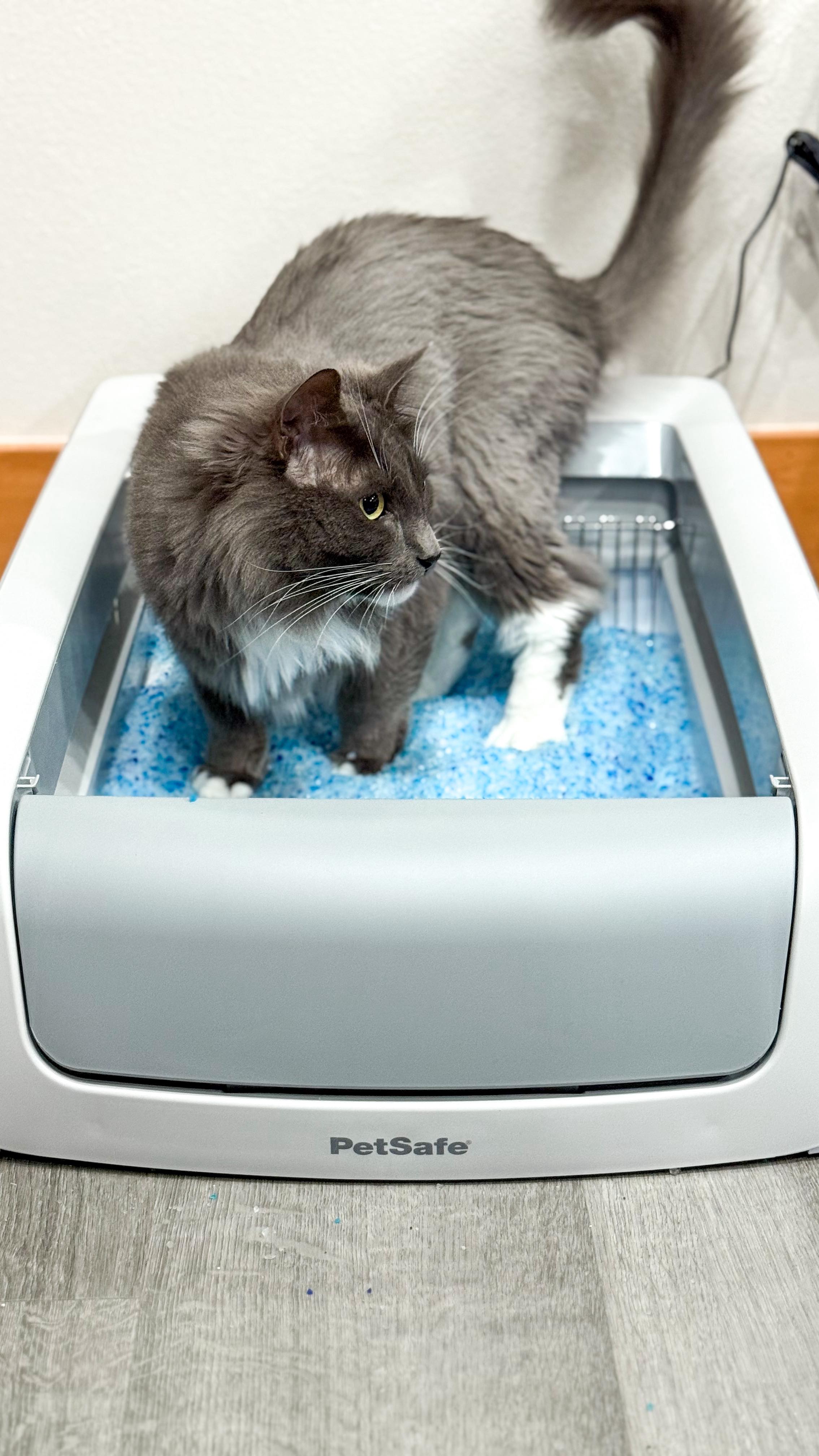 Instagram post by @kerrasmomlife for PetSafe. Caption reads: No more scooping, no more stink—just clean,....