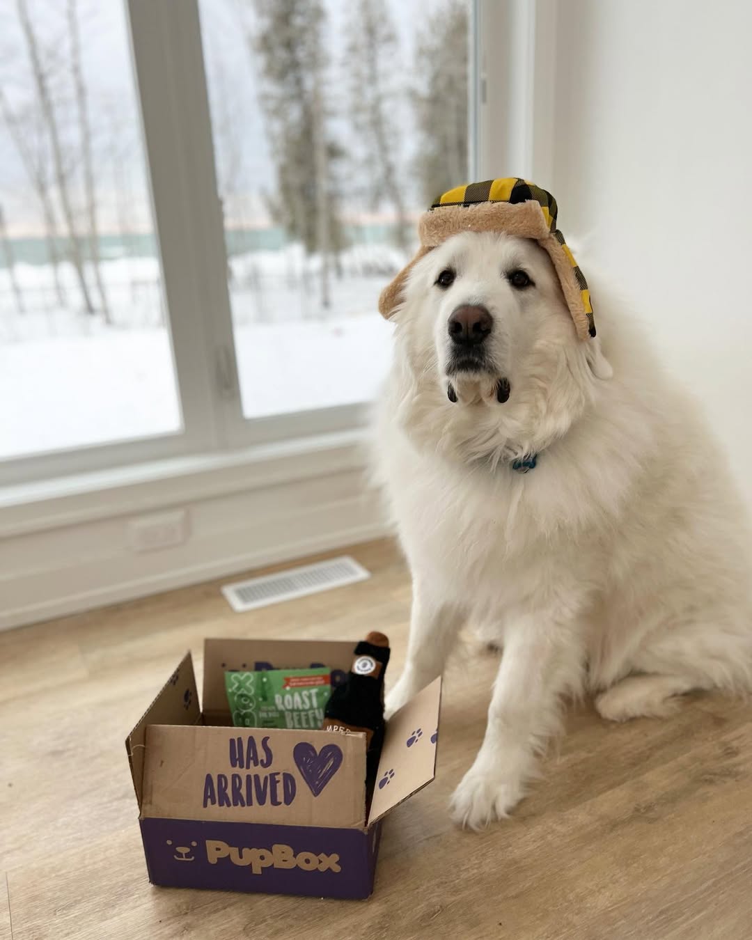 Instagram post by @3pyrsinapod for PupBox. Caption reads: Pupbox day for this cutie 😍📦 The 🧢and 🍻toys....
