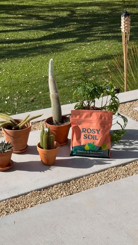 Instagram post by @desertmidmod.atx for Rosy Soil. Caption reads: [...] everything our plants actually need 🌿....