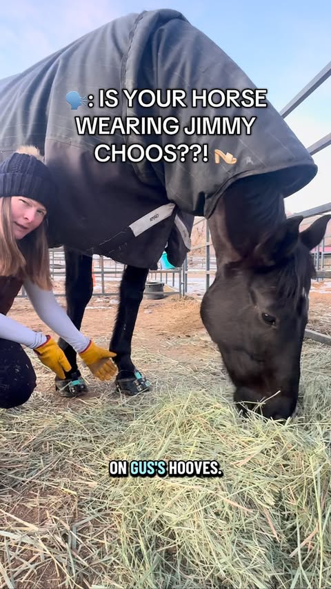 Instagram post by @todaywithgus for Scoot Boots. Caption reads: [...] on his feet!

GUS10 saves 10% on....