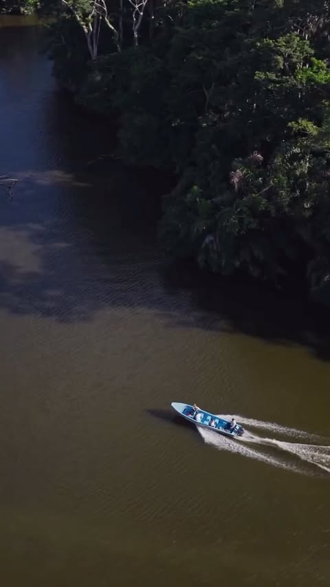 Instagram post by @blakemoynes for IQBAR. Caption reads: Still riding the high from Costa Rica 🦥

@iqbar....