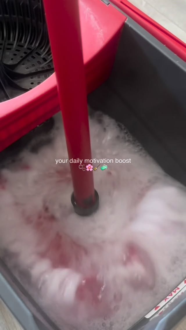 Instagram post by @cleanwithgemma for Vileda. Caption reads: Your daily motivation boost 🫧🌸🧹🧼 ➡️If you love....