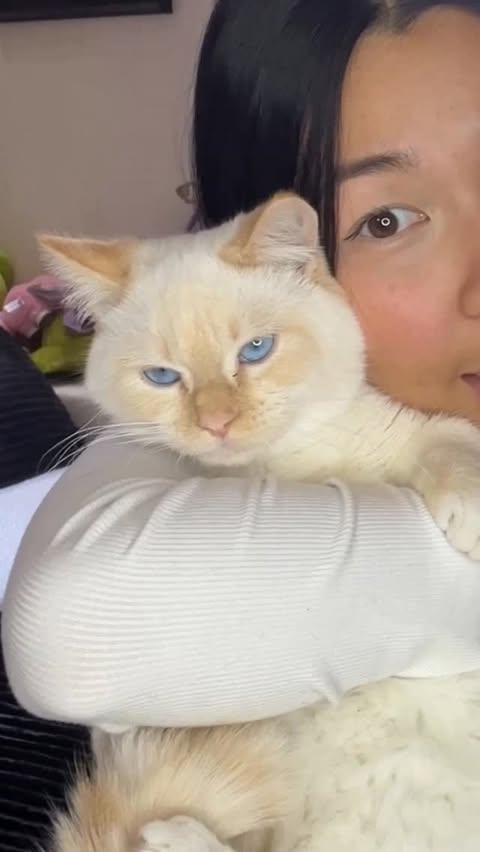 Instagram post by @povinwife for POIZON. Caption reads: [...] the link to get a FREE Legit check on....