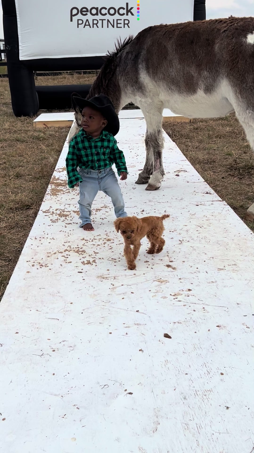 TikTok post by @smithknation for Peacock TV. Caption reads: #PeacockPartner Who else is excited about the new....