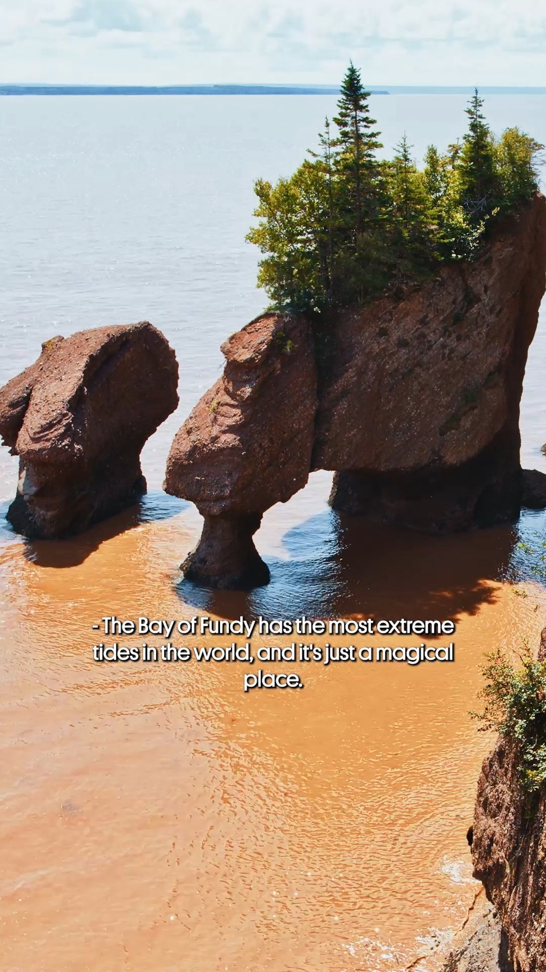 Instagram post by @atlasobscura for PBS. Caption reads: [...] This series is made in partnership with....