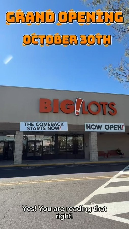 Instagram post by @rosa_notso_nice for biglots. Caption reads: Guess who’s back? Back again?!? 

It’s @biglots....