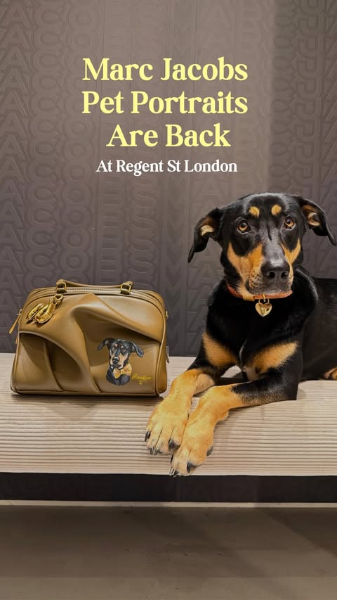 Instagram post by @thedogvine for Marc Jacobs. Caption reads: [...] your dog (or any other pet) onto a Marc....