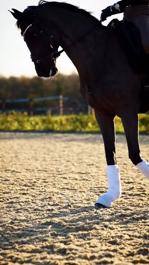 Instagram post by @georgiewestdressage for Holland Cooper. Caption reads: A winter sunset ride with Mila in the Cotswolds.....