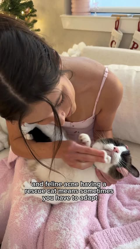 Instagram post by @peachandpumpky for Vetericyn. Caption reads: soon after rescuing coconut and learning his silly....