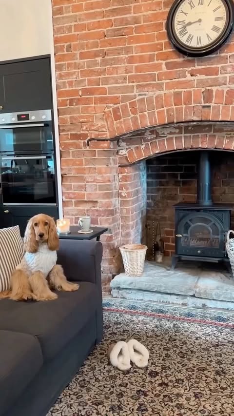 Instagram post by @lauralouisebr for ACANA Petfoods. Caption reads: Escaping to the countryside for a much needed....