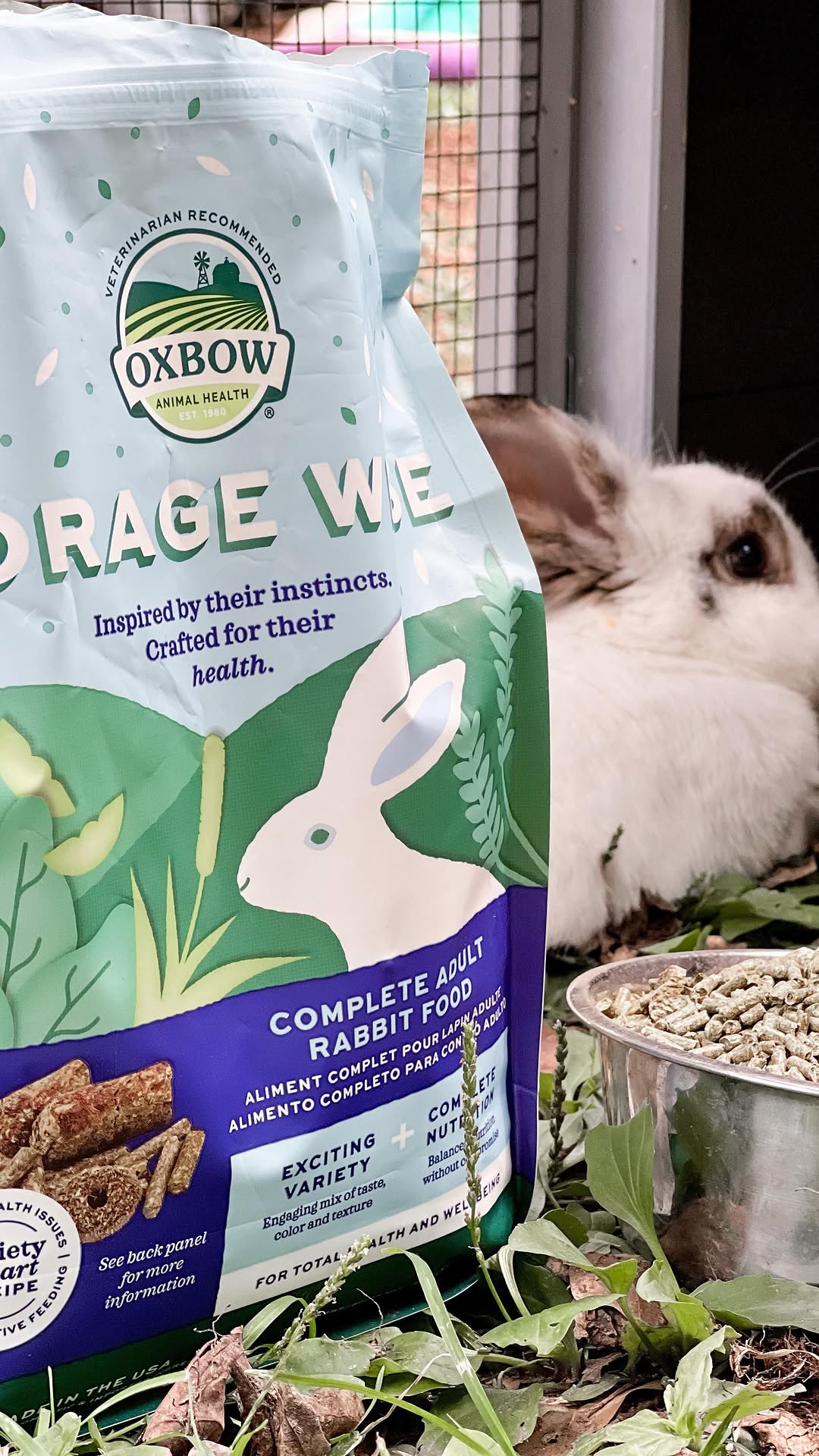Instagram post by @mrsshelbycarr for Oxbow Animal Health. Caption reads: #sponsored
Listen to Truffles on this one ☝🏽....