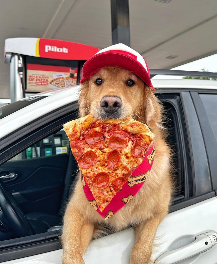 Instagram post by @the_goldendonut for Pilot Flying J. Caption reads: #Ad Road trip essentials- A slice of pizza from....