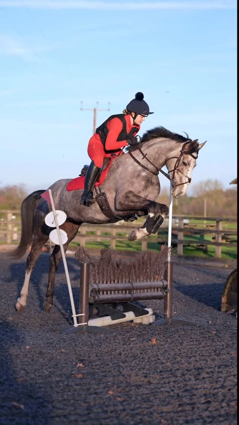 Instagram post by @elphick.event.ponies for Stella McCartney. Caption reads: [...] stunning @lemieuxproductsofficial X....