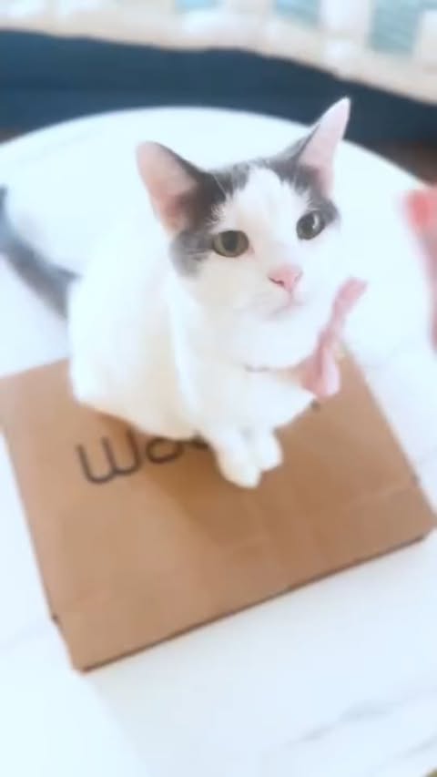 Instagram post by @gabbyzapata for Wacom. Caption reads: Unboxing time with @gabbyzapata ✨🎁⁣
She finally....