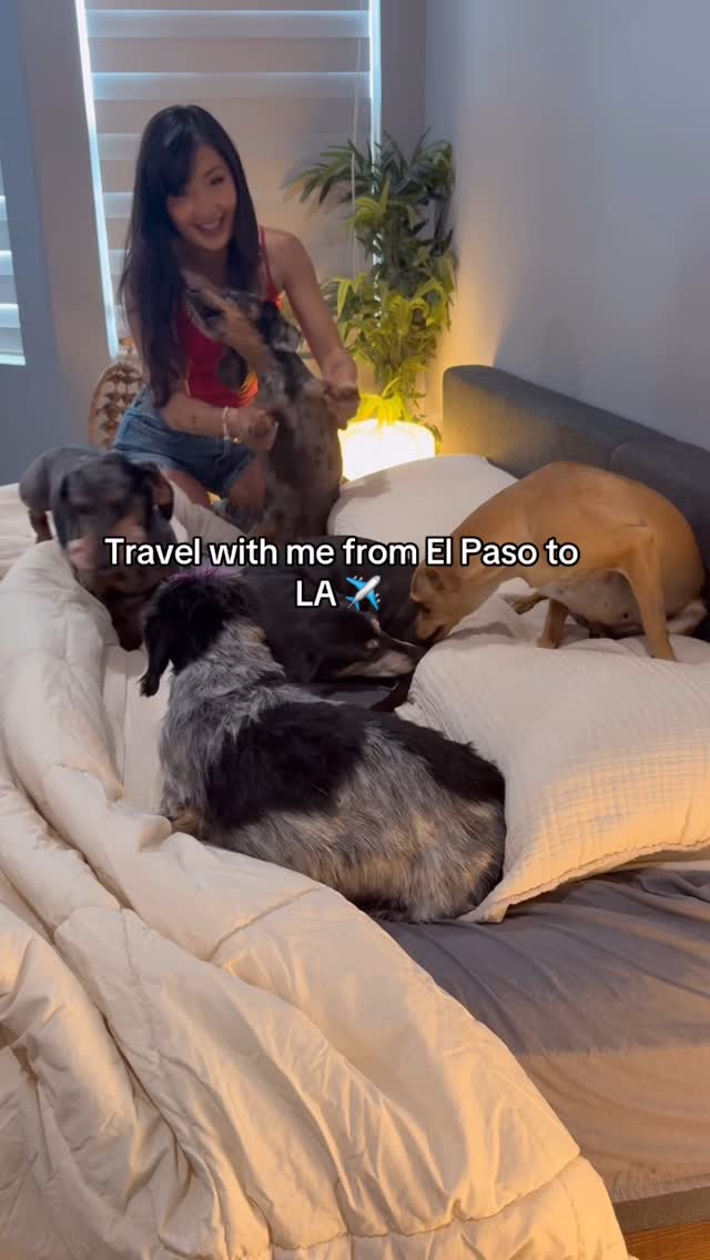 Instagram post by @yunabugs for Sassy Woof. Caption reads: SEE YOU SOON WEENS CLUB! 🤪🤪🤪 @sassywoof....