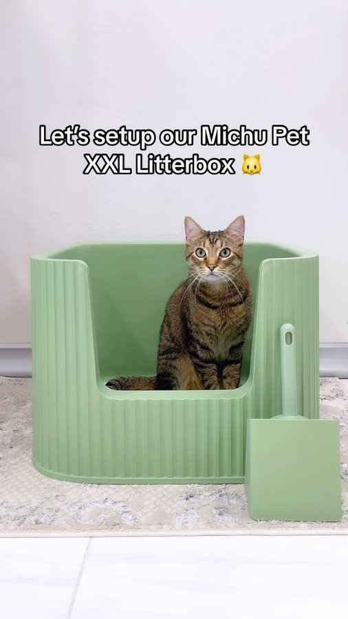 Instagram post by @miso.sage.and.beni for MICHUPET. Caption reads: [...] Michu 💚

We have been testing out the....