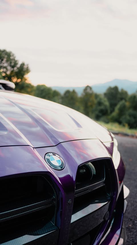 Instagram post by @mratedmorgan for WOLFBOX. Caption reads: [...] many of them had insurance 📸 dash cam:....