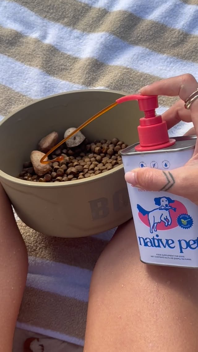 Instagram post by @bodithebirddog for Native Pet. Caption reads: [...] Could not be happier to partner with....