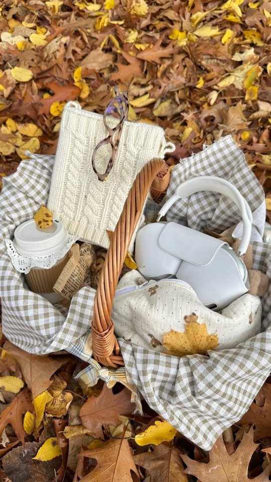 Instagram post by @afischer91 for Dionis Goat Milk Skincare. Caption reads: Kiss dry lips goodbye💋 . . Do you suffer from dry....