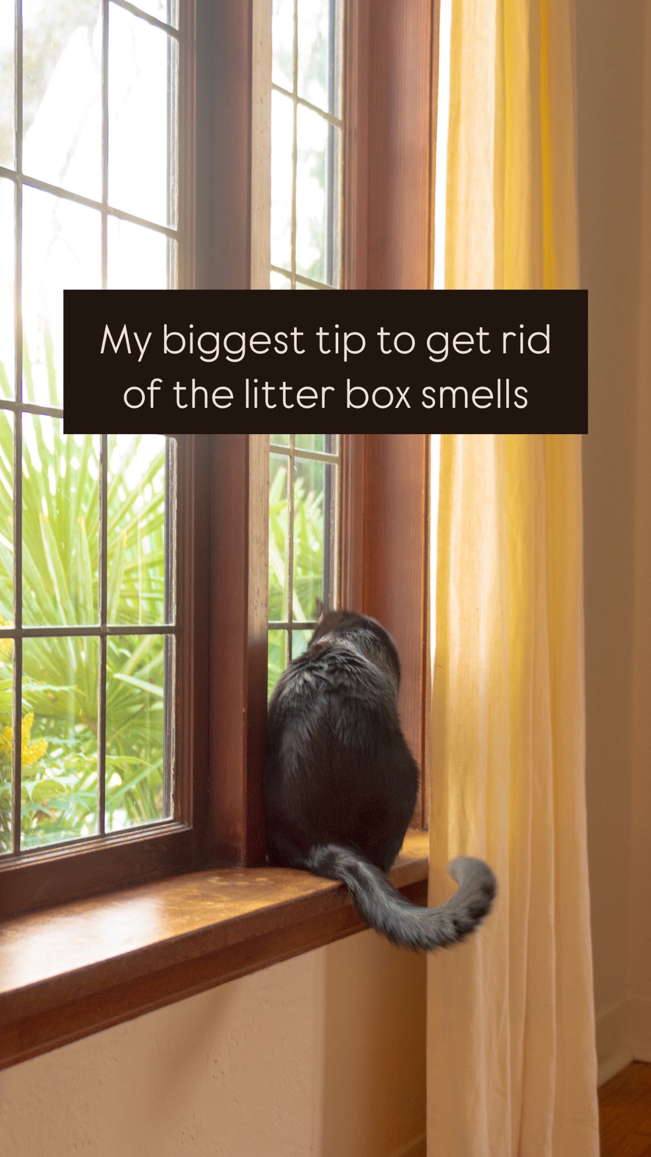 Instagram post by @chumkas.corner for Nature's Miracle. Caption reads: [...] smells!! Product pictured is....