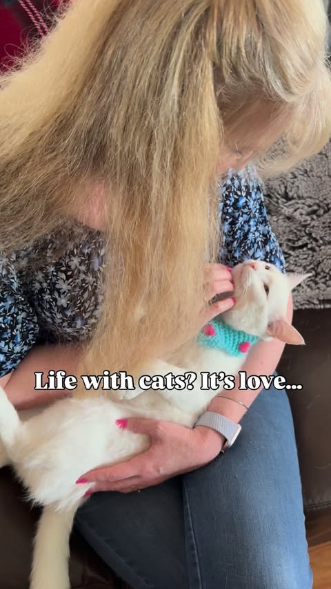 Instagram post by @prideofkittycats for Oneisall. Caption reads: [...] the cuddles. That’s why we choose the....