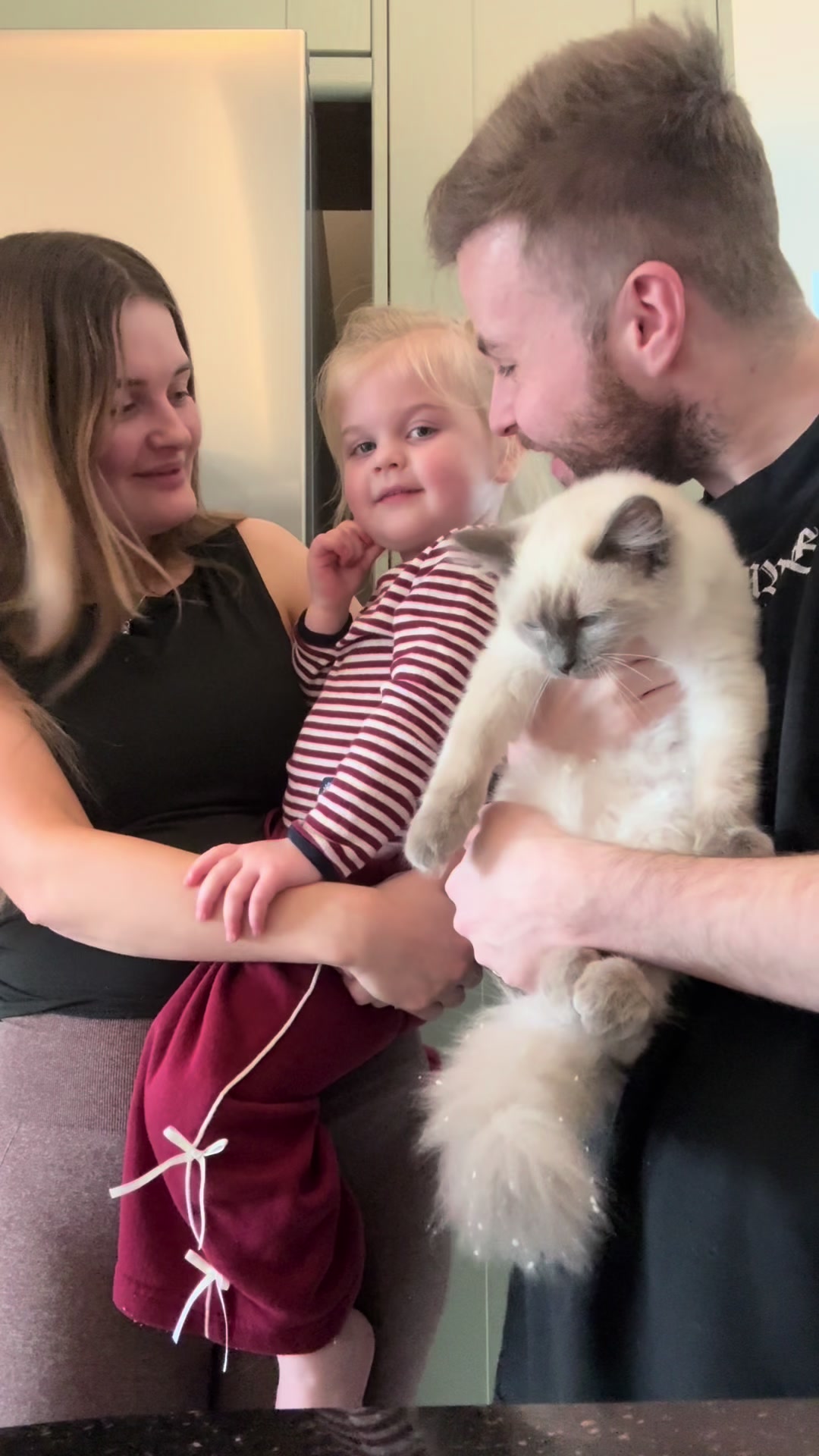 TikTok post by @thejalfamily for KatKin. Caption reads: Our little kitten update & how he’s settling in!....