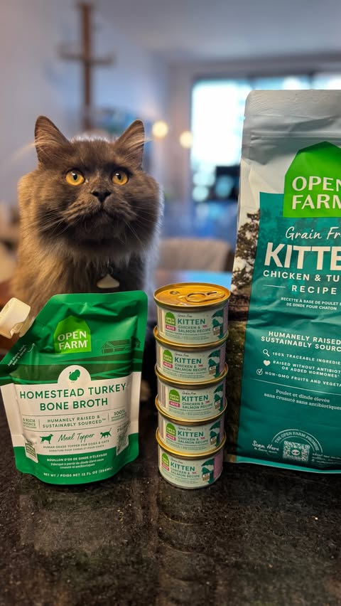 Instagram post by @wasabi.sushi.matcha for Open Farm Pet. Caption reads: [...] tummies from sudden food changes 😊.....