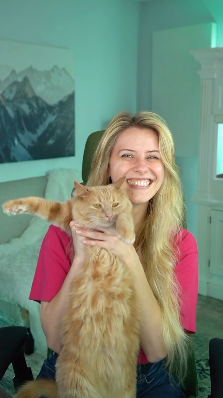 Instagram post by @noisybutters for Prettylitter. Caption reads: My cats have been LOVING @prettylitter !🐱💕 It's....