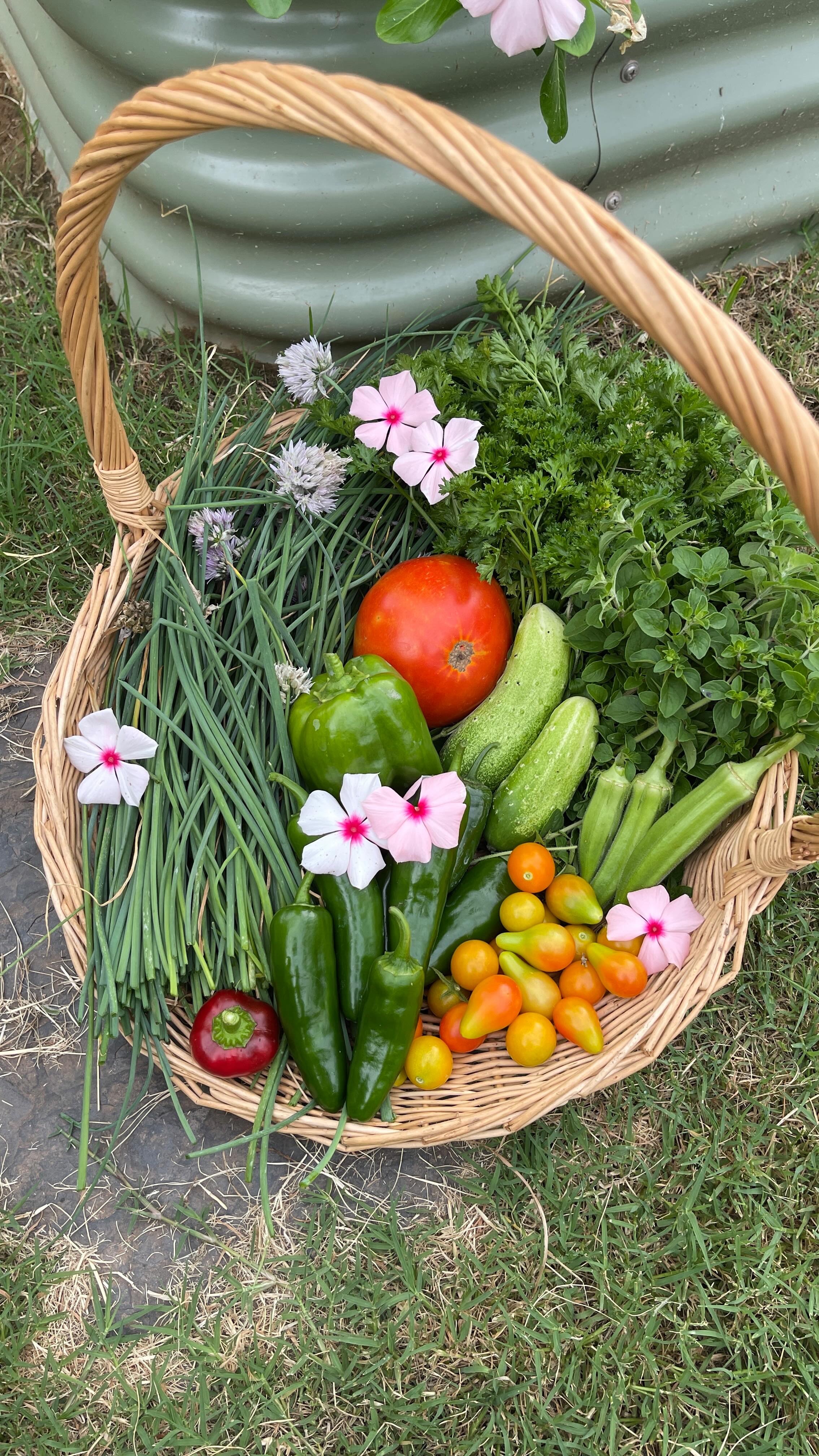 Instagram post by @self.homestead for Better Homes & Gardens. Caption reads: I have been harvesting herbs, nonstop this summer.....