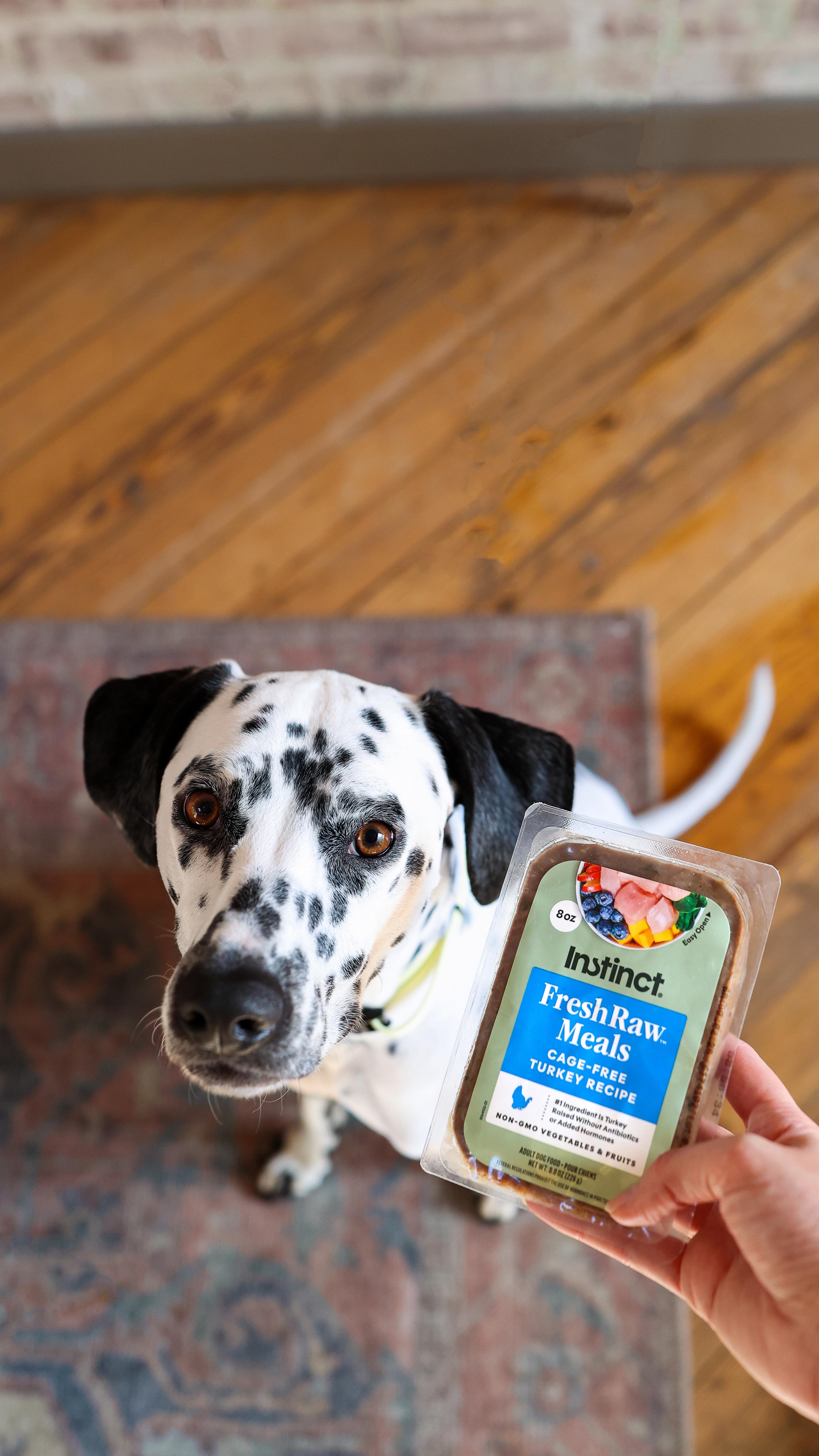 Instagram post by @mywildmeadows for Instinct Pet Food. Caption reads: [...] time excitement hits different with....